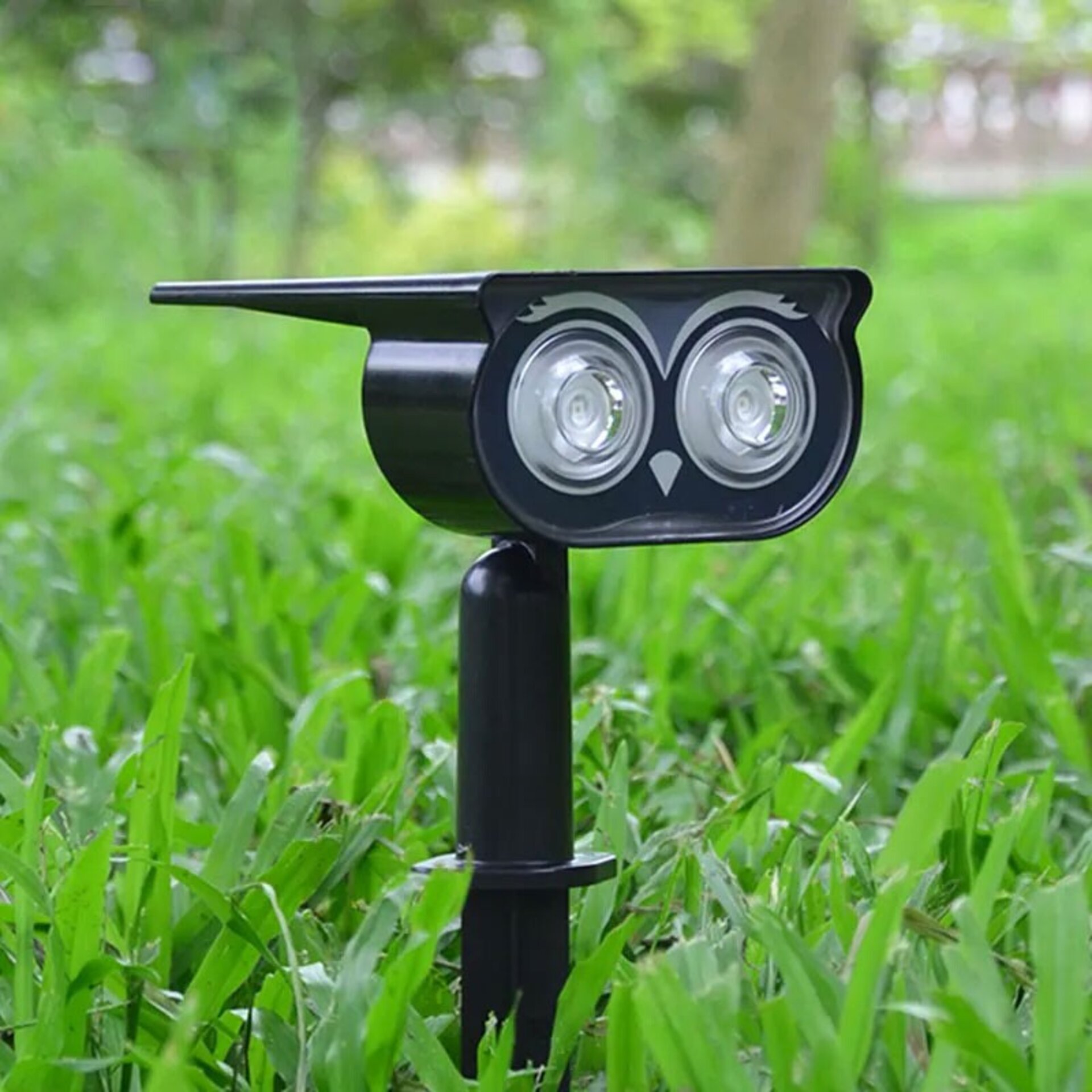 Foco Solar LED con Pincho Owl - 3