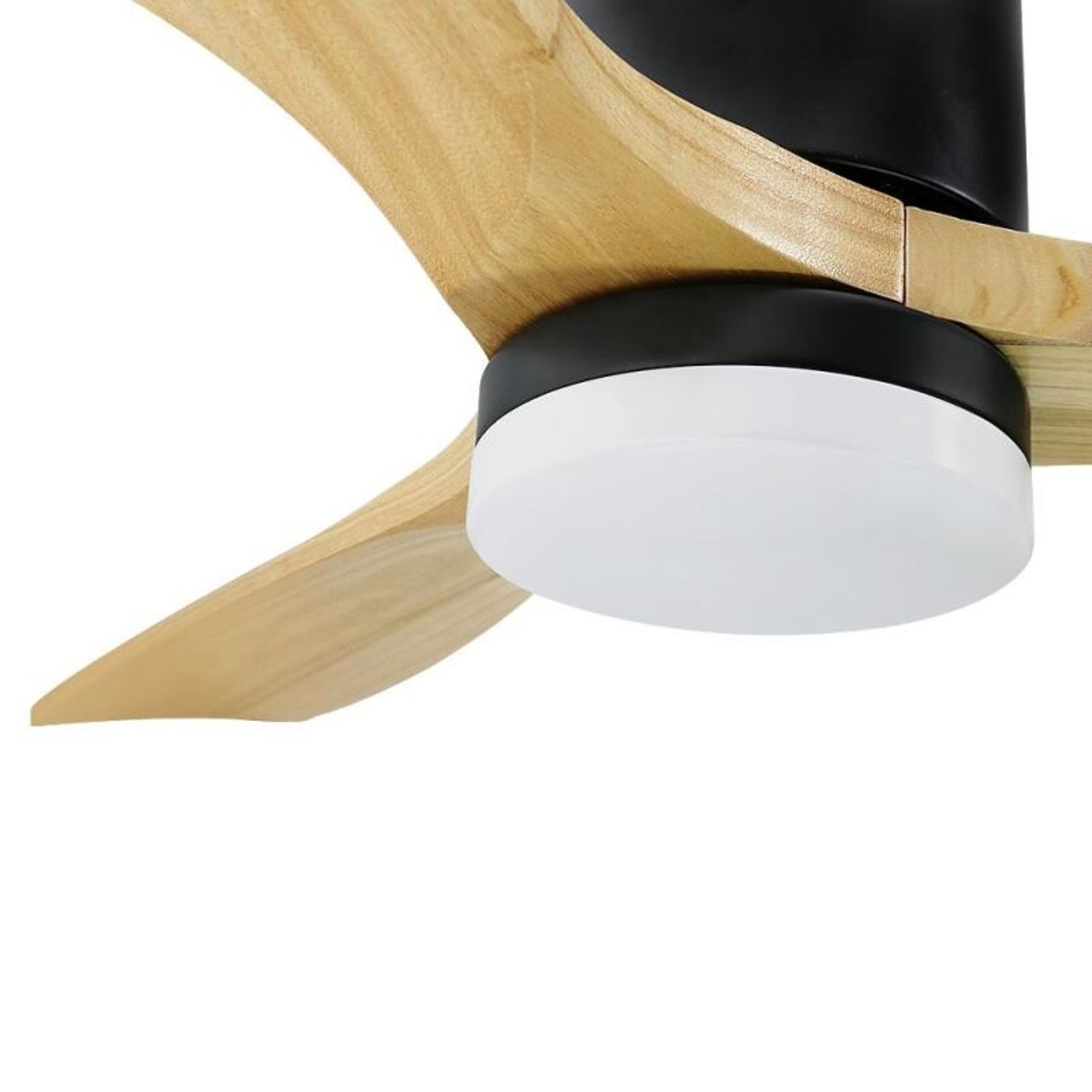 Ventilador de techo LED Black Energy - 4